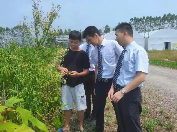 无标题2.png